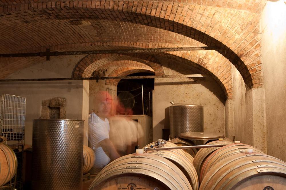 Wohnatelier Im Bioweingut Lejlighed Rust Eksteriør billede